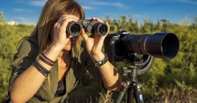 Olympus Binocular 10x50 S review